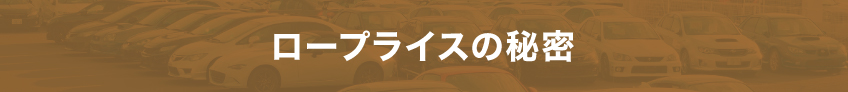 ロープライスの秘密